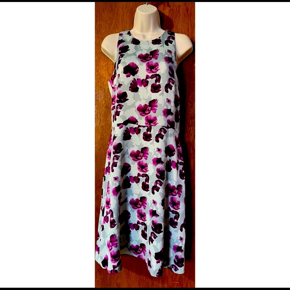 4x Host Pick 🎉 Banana Republic Floral Lined Sleeveless Dress